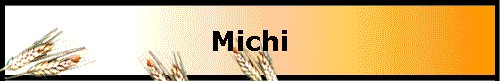  Michi 
